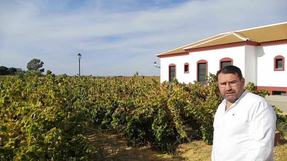 Matias Vela, someliér místní vinotéky Bodega Marqués de Villalúa