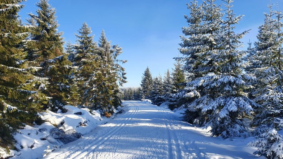 Cesta na Brádlerku. Častěji než běžkaře narazíte v posledních letech v Krkonoších na skialpinisty