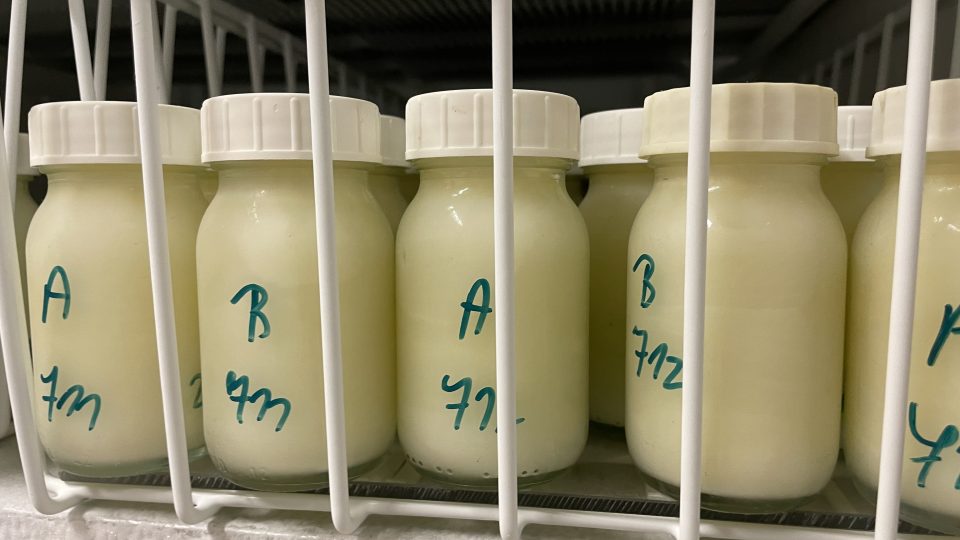 Mateřské mléko je potřeba pasterizovat po 30 minut v lázni zahřáté na 62,5 stupňů Celsia. Následuje ještě chlazení a pak zamrazení