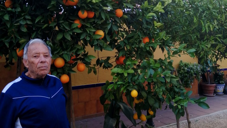 Třiaosmdesátiletý José je na svůj citrusový strom náležitě pyšný