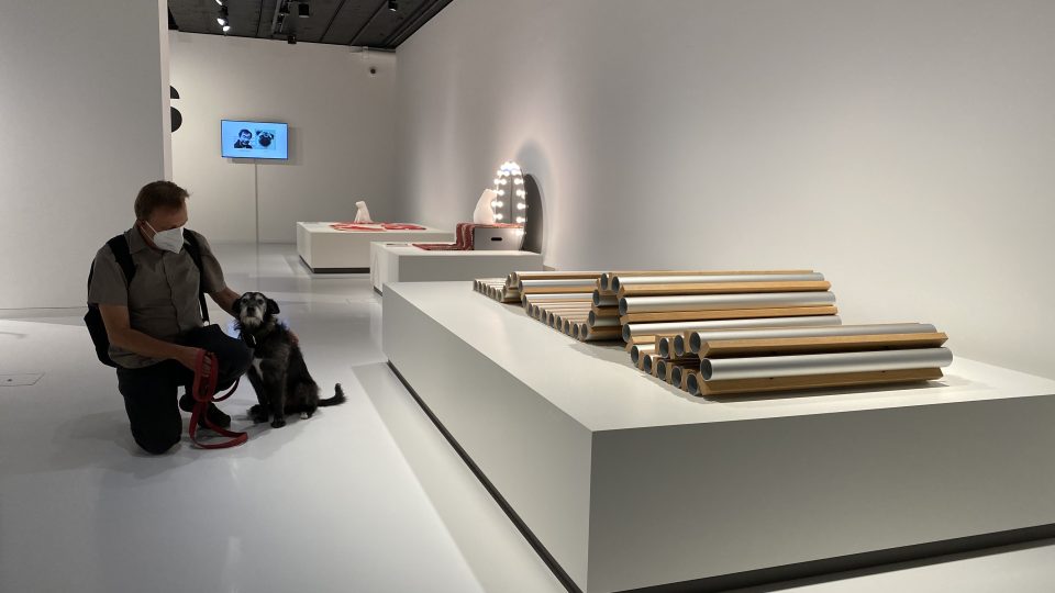 Jaromír Marek se svým psem Mikešem se vydali na výstavu psí architektury