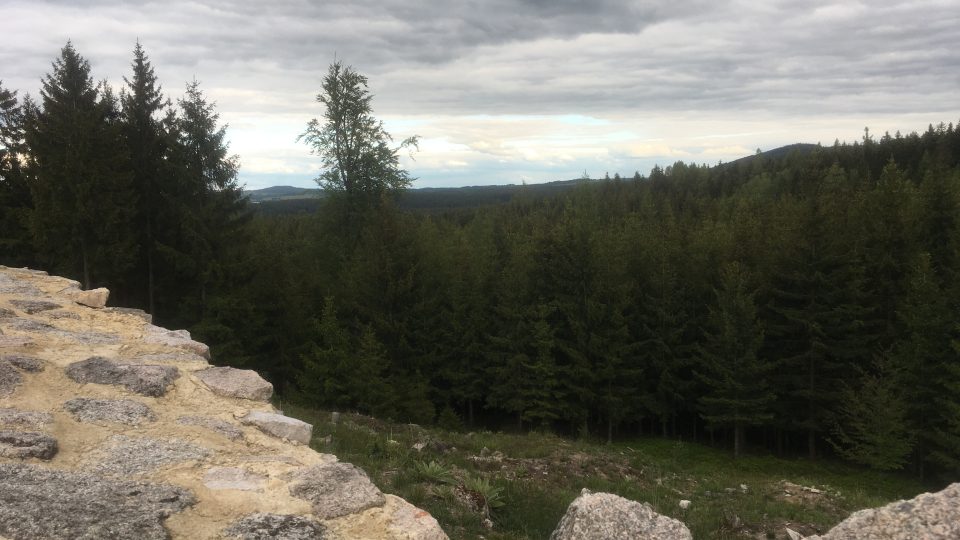Pohled do Slavkovského lesa