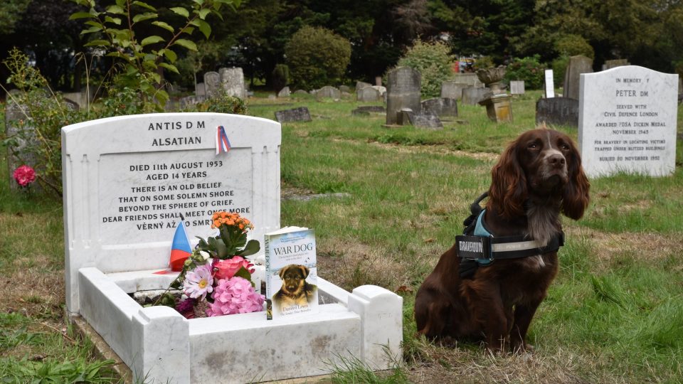 Antis II drží čestnou stráž u hrobu vyznamenaného psího hrdiny
