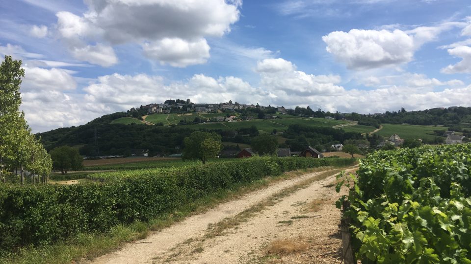 Po degustaci čekaly reportérku tři kilometry vinicemi zpět do nejbližšího městečka