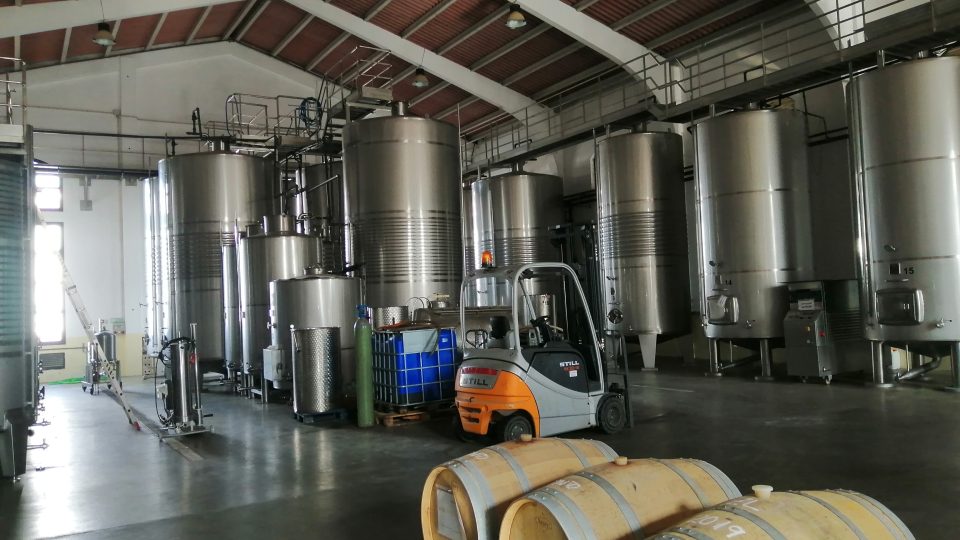 Huelva je ve světě spíš než vývozem vína známá exportem jahod, broskví či pomerančů