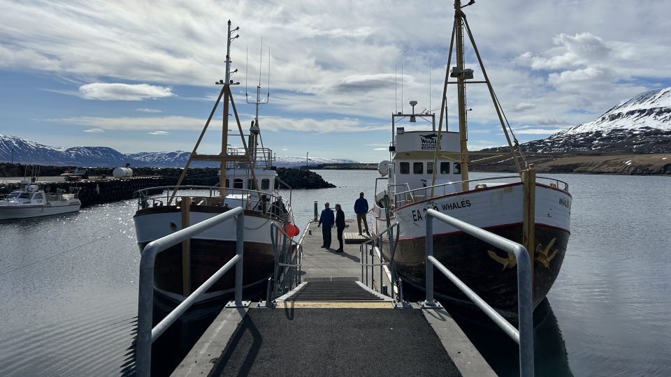 Dvě dřevěné lodě čekají v přístavu vesničky Hauganes na turisty, aby je vyvezly do fjordu za velrybami