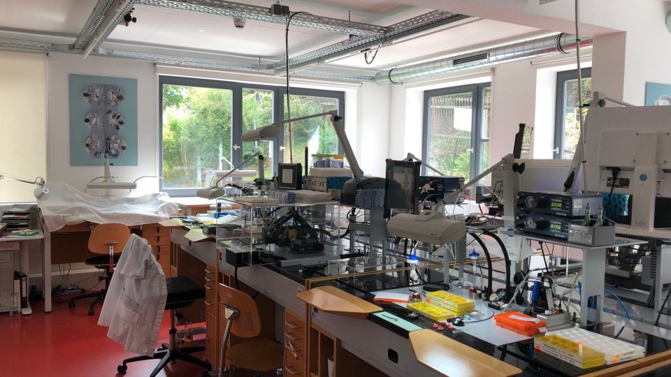 V továrně Nomos to vypadá jako v laboratoři – všude kolem je plno mikroskopů a drobných nástrojů