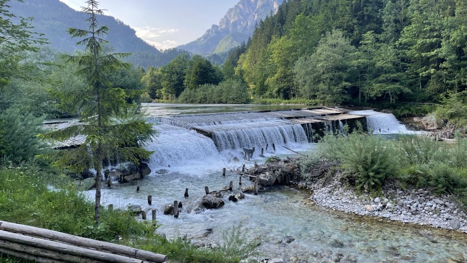 Horské řeky ve slovinských Alpách se hemží pstruhy a lipany