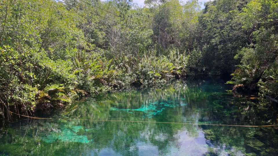 Cenote Xoonan-Ha na mexickém poloostrově Yucatán