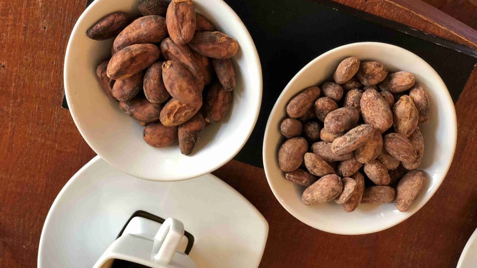 Pražené kakaové boby jsou základní surovinou pro výrobu čokolády. Na jejich kvalitě nesmírně záleží