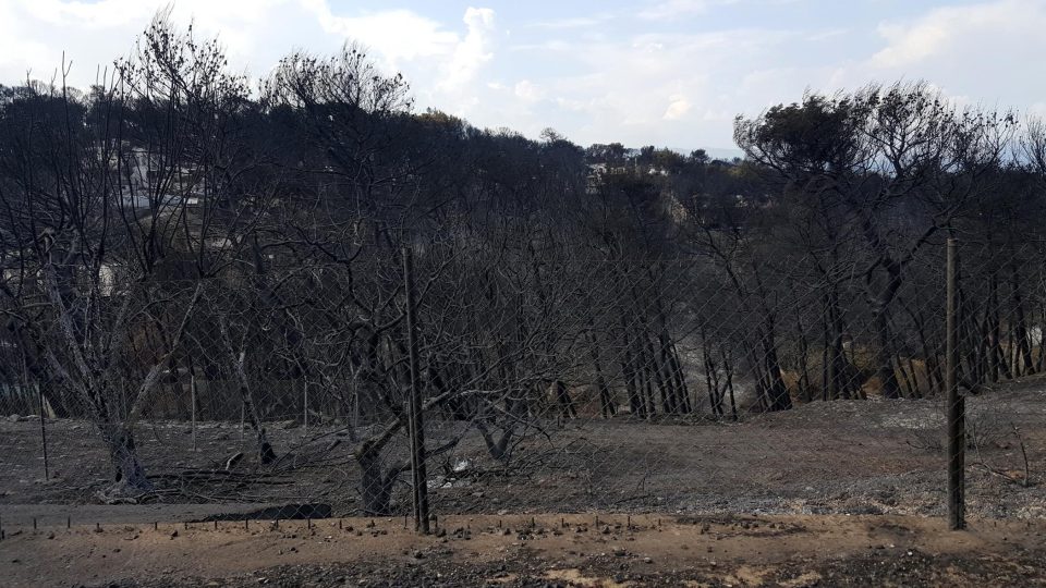 Oblast v okolí obcí Máti a Néa Mákri byla požárem zasažena nejvíce.