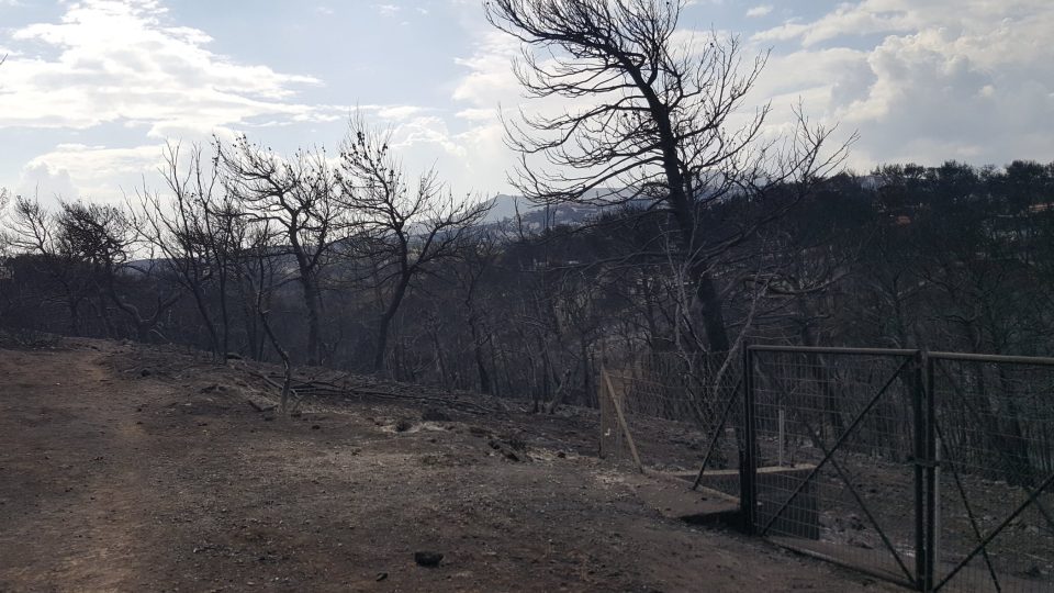 Hořící les ve východní Attice se hasičům podařilo uhasit až po několika dnech. Situaci komplikoval silný vítr.