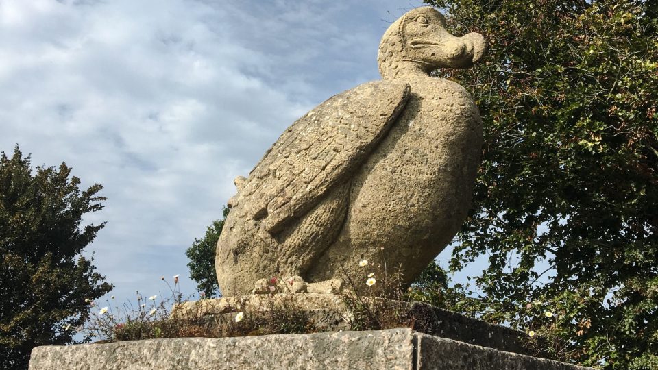 Ne náhodou je symbolem zoo na ostrově Jersey vyhynulý pták dodo