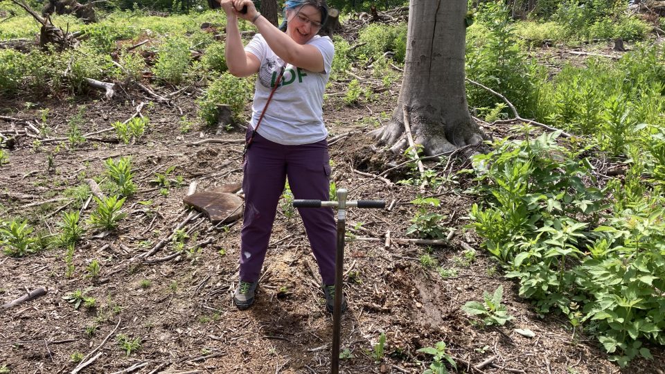 Proděkanka Pavlína Pancová Šimková sbírá vzorky hlíny