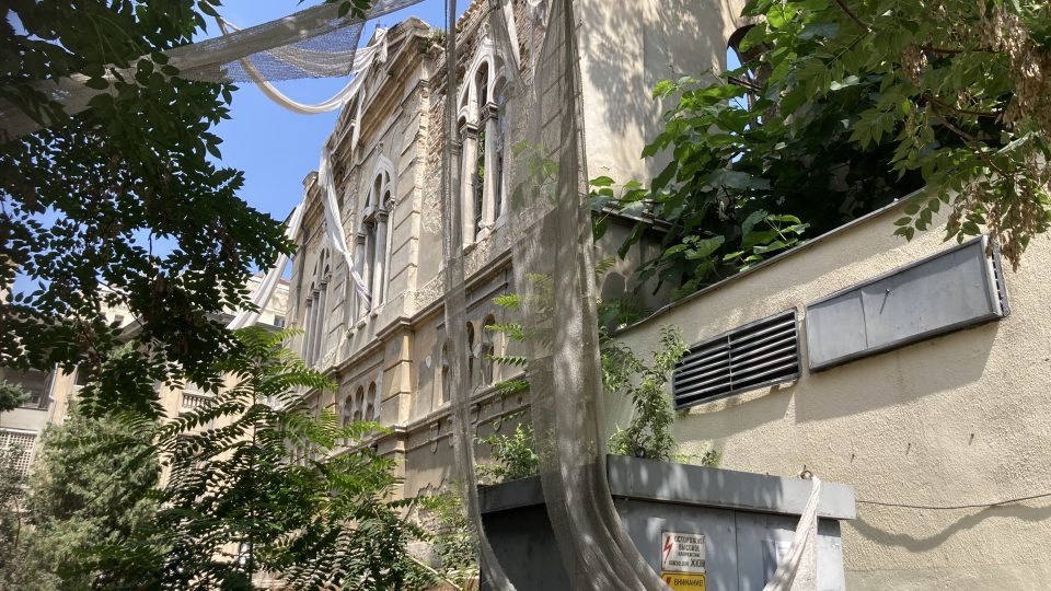 Stará ruina zarostlá náletovými dřevinami: zbytky staré sefardské synagogy