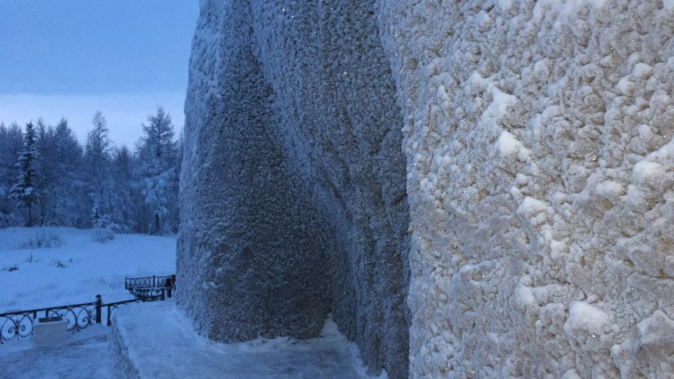 Ruská severní Sibiř a oblasti za severním polárním kruhem bývaly domovem mamuta srstnatého, který vyhynul zhruba deset tisíc let před naším letopočtem