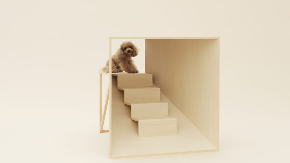 U zrodu architektury pro psy stál japonský designér Kenya Hara, autor tunelu na obrázku