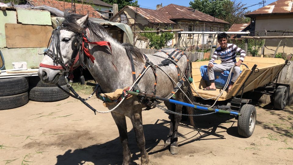Dřevěný povoz za koněm je pro Rumunsko typický – zešikmené stěny, čtyři kola s pneumatikami a kozlík vystlaný dekou
