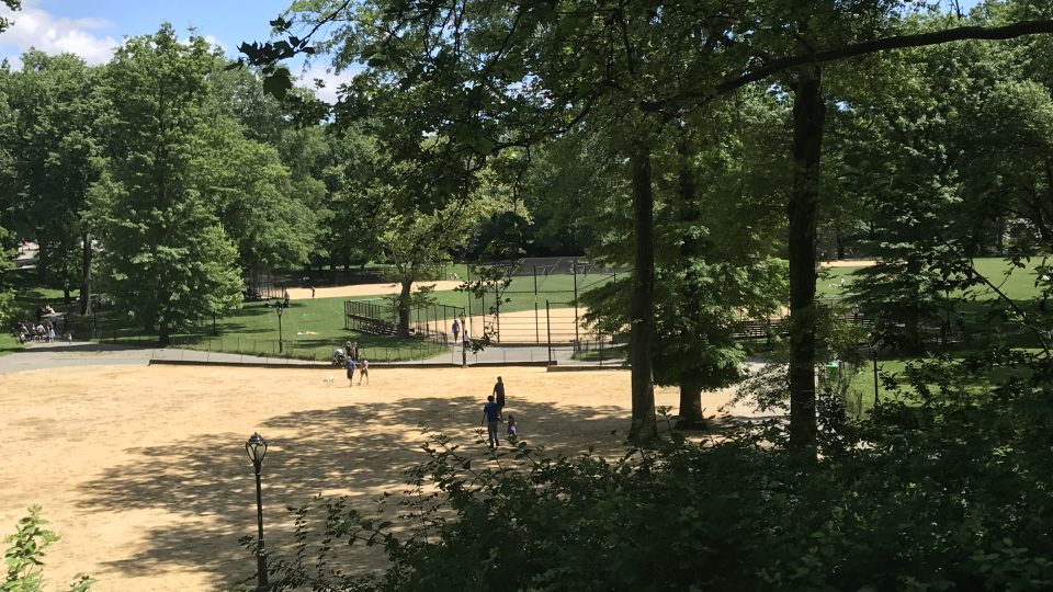 Parky v New Yorku, kde se lidé i během koronaviru scházejí na velkých demonstracích