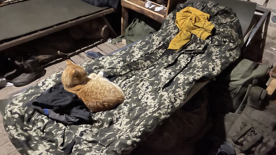 Kocour Kombat zalehl postel jednoho ze seržantů v ubytovně