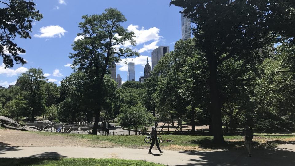 Central Park v New Yorku obklopují mrakodrapy