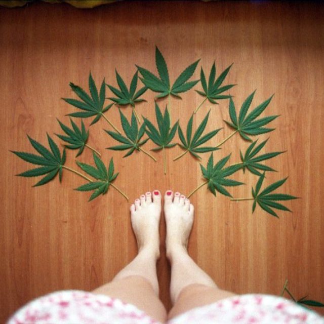 Marihuana - konopí - tráva | foto:  CC BY-NC-SA 2.0,  Len Hurtado