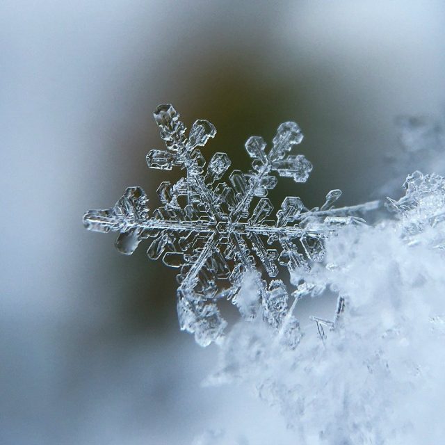 Sněhová vločka | foto: Fotobanka Pixabay,  CC0 1.0