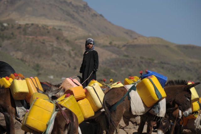 Dívka stojí vedle oslů a čeká na vodu v Bit al-Haidari,  200 kilometrů na jih od San'á | foto: Fotobanka Profimedia