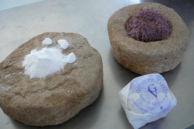 K výrobě sýra Azeitao se používají květy bodláku a sůl | foto: David Koubek,  Český rozhlas