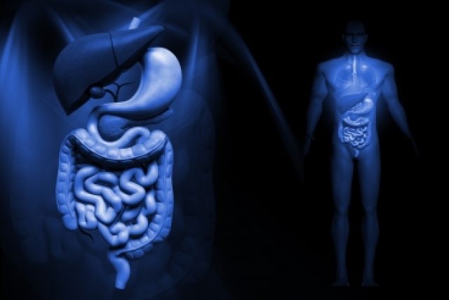 Crohnova nemoc je chronické zánětlivé onemocnění,  které se může projevit v jakékoli části trávicího ústrojí,  nejčastěji však v oblasti spojení tenkého a tlustého střeva. | foto: Free Digital Photos