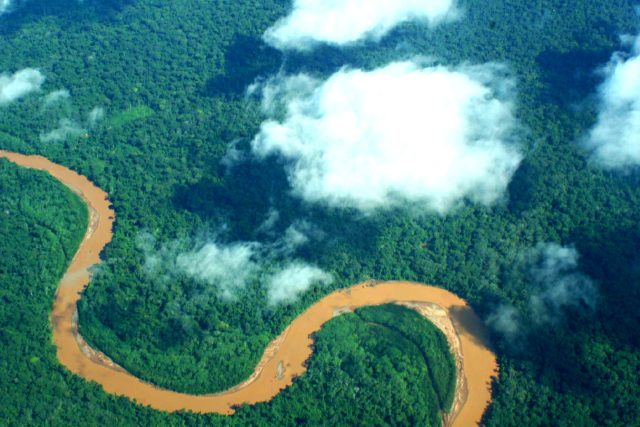 Amazonský deštný prales | foto:  CC BY-SA 2.0,  Jonathan Lewis
