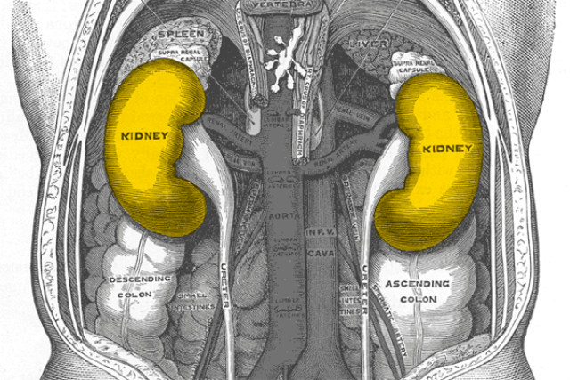 ledviny | foto: licence Public Domain  (eng),   Roxbury