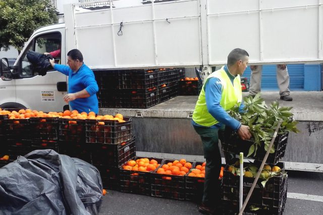 Muži skládají přepravky s pomeranči do dodávky. Denně si přijdou na 40 až 45 eur | foto: Ľubica Zlochová,  Český rozhlas