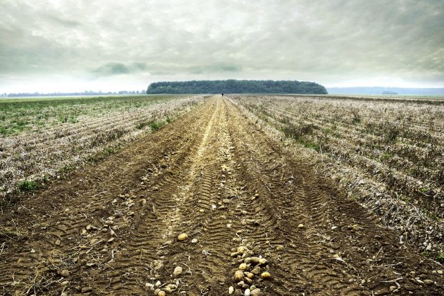 50% veškeré zemědělské půdy je ohroženo vodní erozí | foto: Fotobanka Pixabay