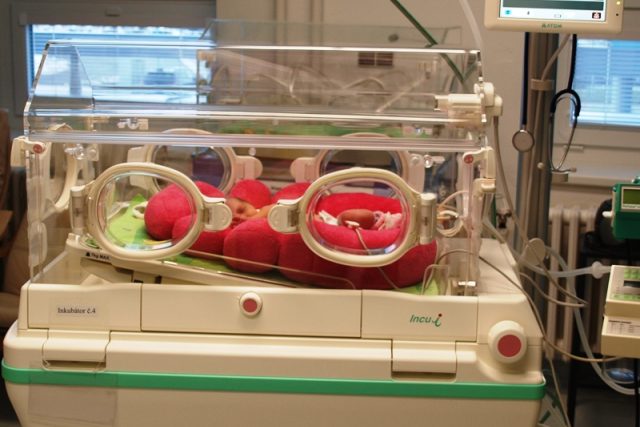 Inkubátor s novorozencem | foto: Monika Zachrlová