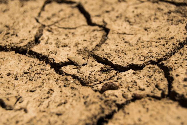 Jak bojovat se suchem?  | foto: Fotobanka Pixabay