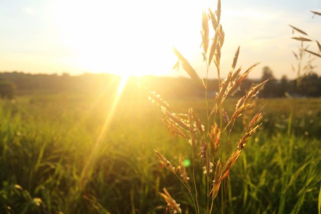 V Česku máme málo slunce,  proto vitamin D není na škodu  | foto: Fotobanka Pixabay