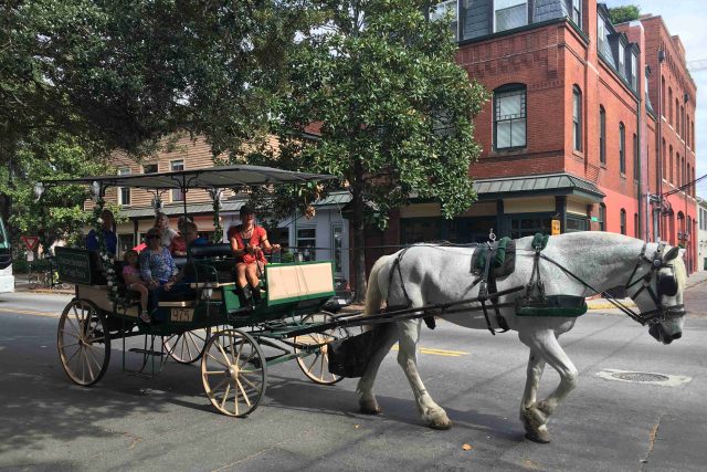 Městečko Savannah zažilo díky Forrestu Gumpovi doslova turistický boom | foto: Jan Šmíd,  Český rozhlas
