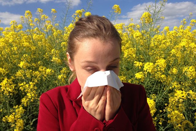 Jarní alergie  (ilustrační foto) | foto: Fotobanka Pixabay