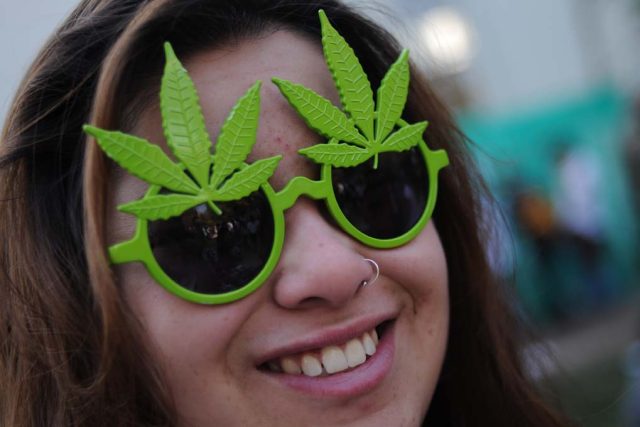 Marihuana - konopí - tráva | foto:  amigosdelcannabis,   CC BY 2.0