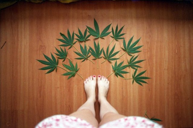 Marihuana - konopí - tráva | foto:  CC BY-NC-SA 2.0,  Len Hurtado