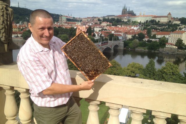 Augustin Uváčik,  odborník na chov včel a učitel včelařství | foto: Ondřej Ševčík,  Český rozhlas