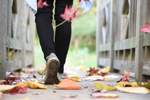 Chůze,  listí,  podzim | foto: Fotobanka Pixabay