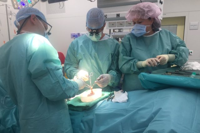 Chirurgové v pražském IKEMu při transplantaci ledviny | foto:  IKEM