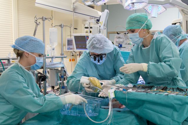 Od loňského roku v IKEM jako v jedné ze tří nemocnic na světě testují biokompatibilní náhradu obou srdečních komor | foto:  IKEM
