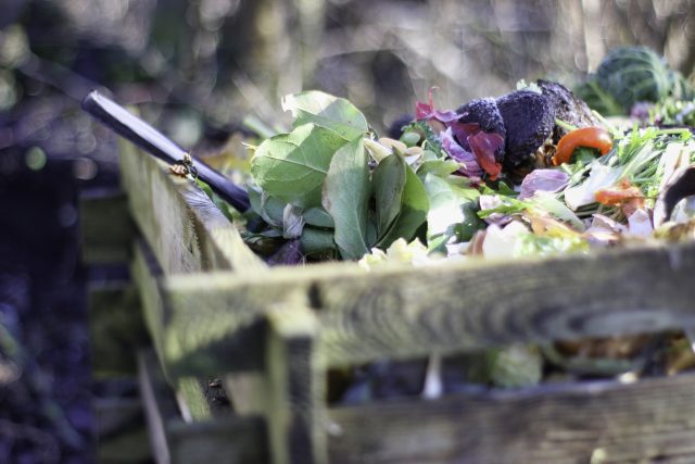 Kompostů se lidé nemusí vůbec bát. Patří do něj i ruličky od toaletního papíru nebo krabičky od vajíček,  popisuje Denisa Lešková | foto: Pixabay,  CC0 1.0
