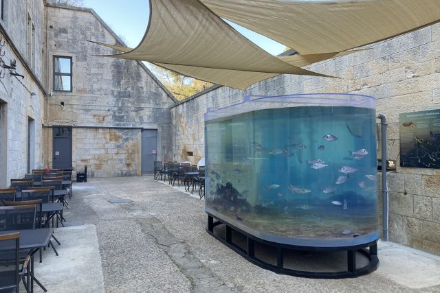 Venkovní akvárium v pevnosti Verudela je samo o sobě zajímavým vizuálním prvkem | foto: Pavel Novák,  Český rozhlas
