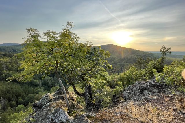 Křivoklátsko | foto: Daniel Kupšovský,  Český rozhlas