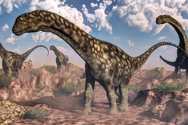 Jak přežili dinosauři?  (ilustrační foto) | foto: Shutterstock