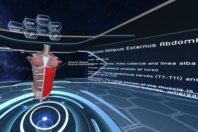Ve virtuální učebnici je podrobně popsána každá kost,  sval,  nerv a céva | foto: Ogilvy,  Virtual Medicine